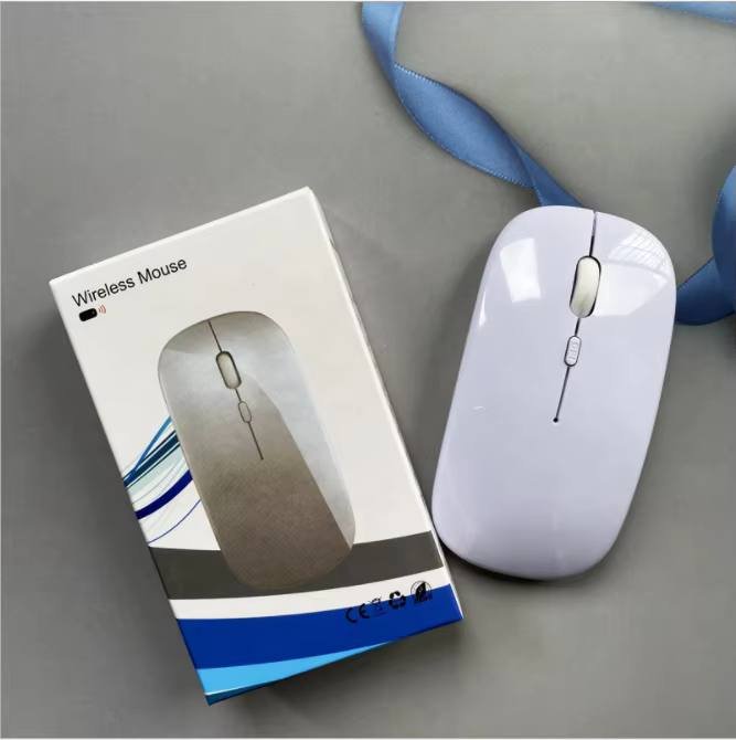 Souris Sans Fil Rechargeable 2.4G/Bluetooth